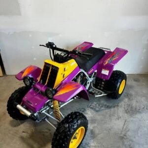 1995 yamaha Banshee