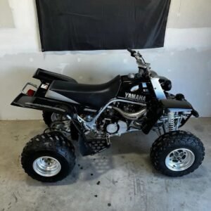 2002 yamaha banshee